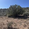 Photo of Mobile Home Lot