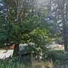 Mobile Home for Sale: 3 Bed 2 Bath 1981 Mobile Home