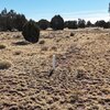 Photo of Mobile Home Lot