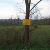 Photo of Mobile Home Lot