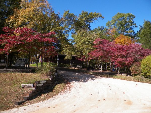 Cross Creek 7