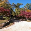 Cross Creek 7