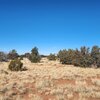 Photo of Mobile Home Lot