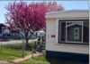 Photo of Mobile Home Park