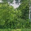 Mobile Home for Sale: 1975 Mobile Home