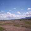 Mobile Home Park for Sale: Auction: 220 space RV park on 23.63 Ac!, Golden Valley, AZ