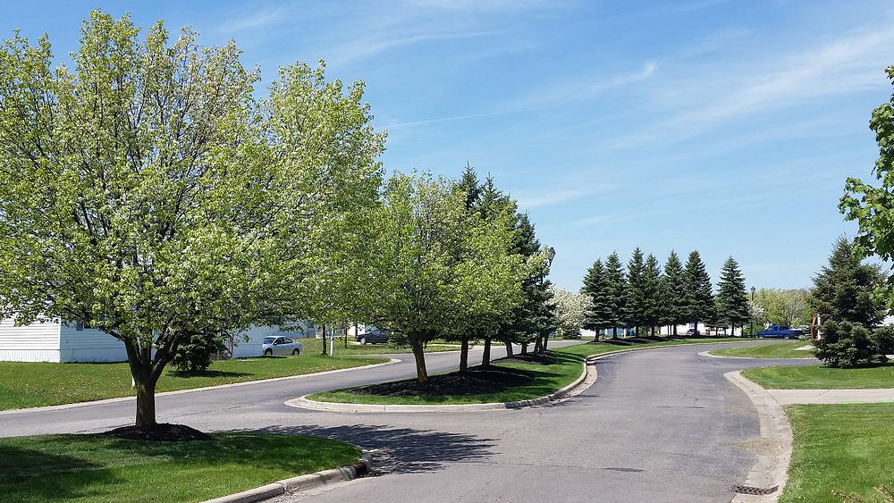 Community Image