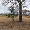 Mobile Home for Sale: 2000 Mobile Home