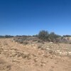 Photo of Mobile Home Lot