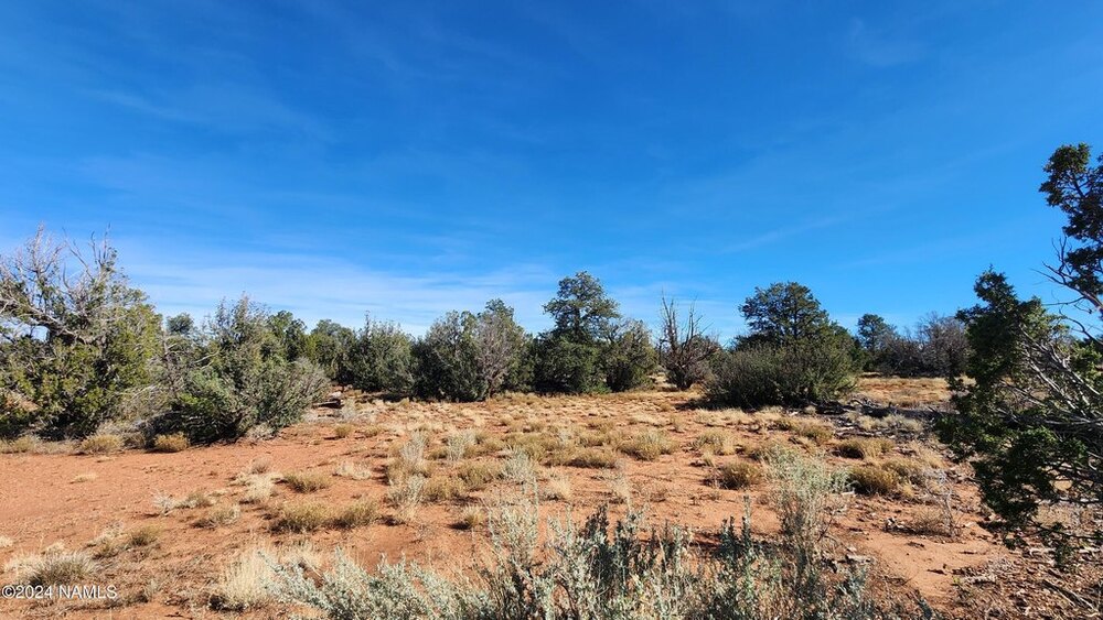 Photo of Mobile Home Lot