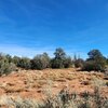 Photo of Mobile Home Lot