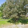 Mobile Home for Sale: 4 Bed 2 Bath 1995 Mobile Home