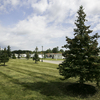 Community Image