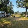 RV Park for Sale: Confidential KOA, , SD