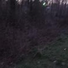 Photo of Mobile Home Lot