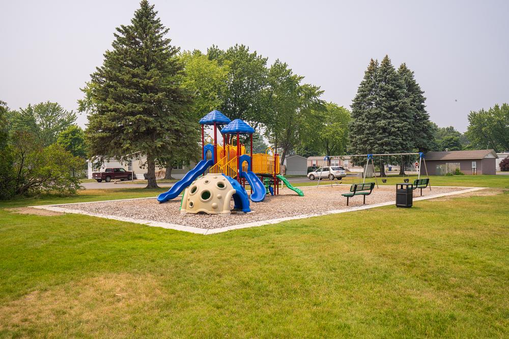 Community Image