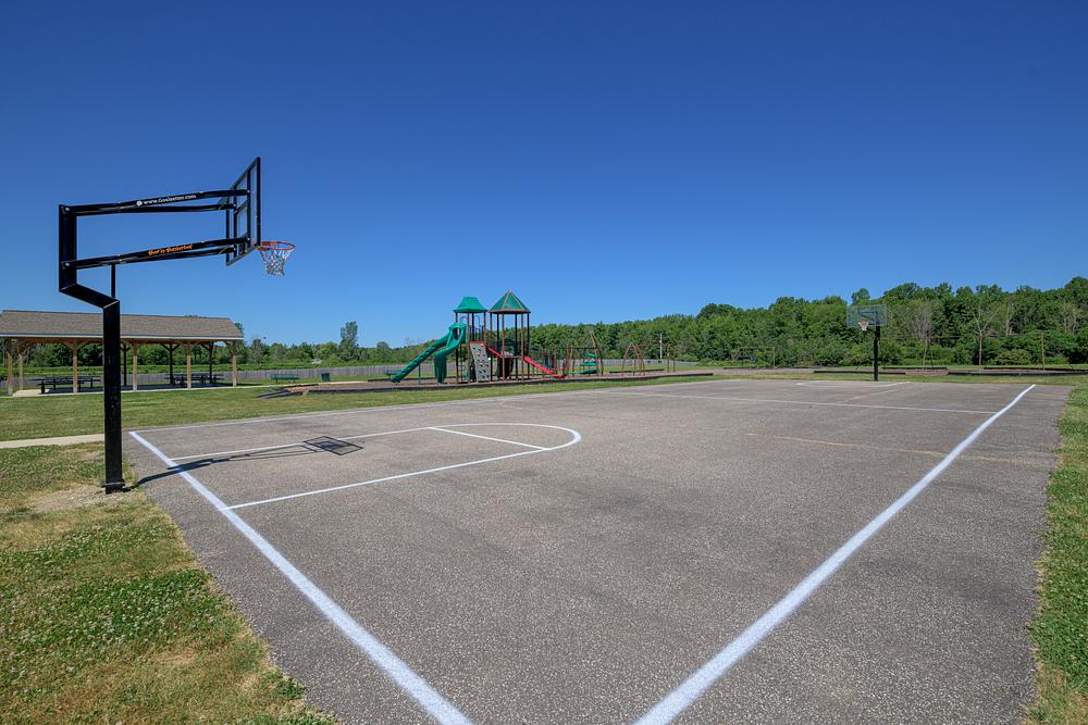 Community Image