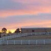 Mobile Home for Sale: Manufactured Home - Chino Valley, AZ, Chino Valley, AZ