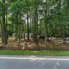 Mobile Home for Sale: 3 Bed 2 Bath 1989 Mobile Home