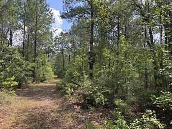 Thumbnail of mobile home lot
