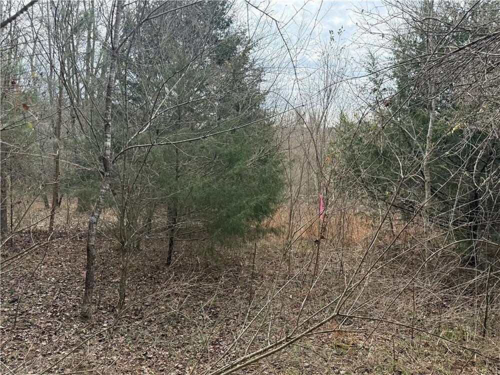 Photo of Mobile Home Lot