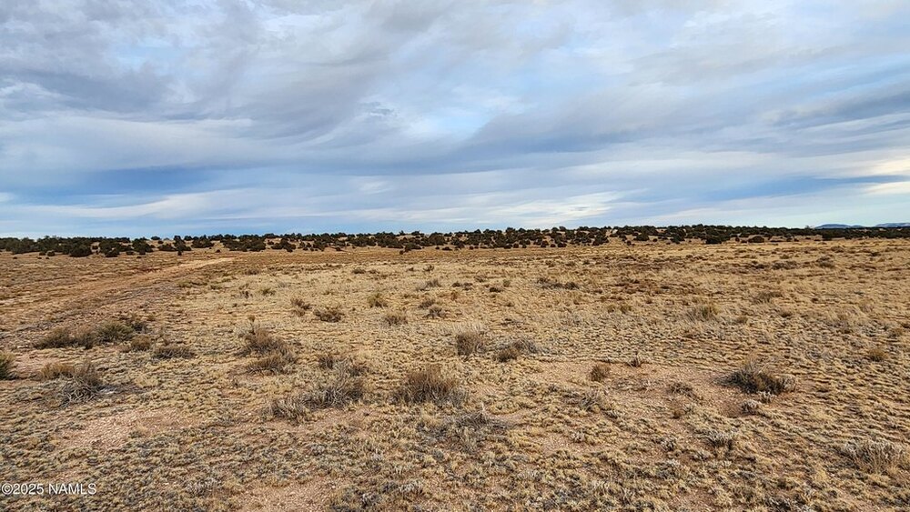 Photo of Mobile Home Lot