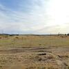 Mobile Home for Sale: 2 Bed 2 Bath 1994 Mobile Home