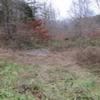Photo of Mobile Home Lot