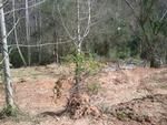 Photo of Mobile Home Lot