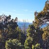Photo of Mobile Home Lot