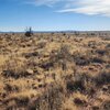 Photo of Mobile Home Lot