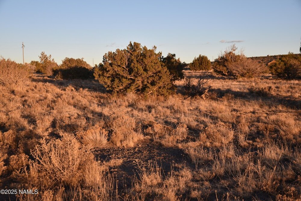 Photo of Mobile Home Lot