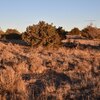 Photo of Mobile Home Lot