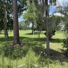 Rolling Greens Village