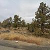 Mobile Home for Sale: 3 Bed 2 Bath 2000 Mobile Home