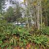 Mobile Home for Sale: 7 Bed 3 Bath 1996 Mobile Home