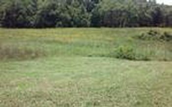 Photo of Mobile Home Lot