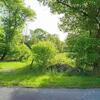 Mobile Home for Sale: 2 Bed 1 Bath 1980 Mobile Home