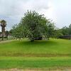 Mobile Home for Sale: 3 Bed 2 Bath 2004 Mobile Home