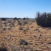 Photo of Mobile Home Lot