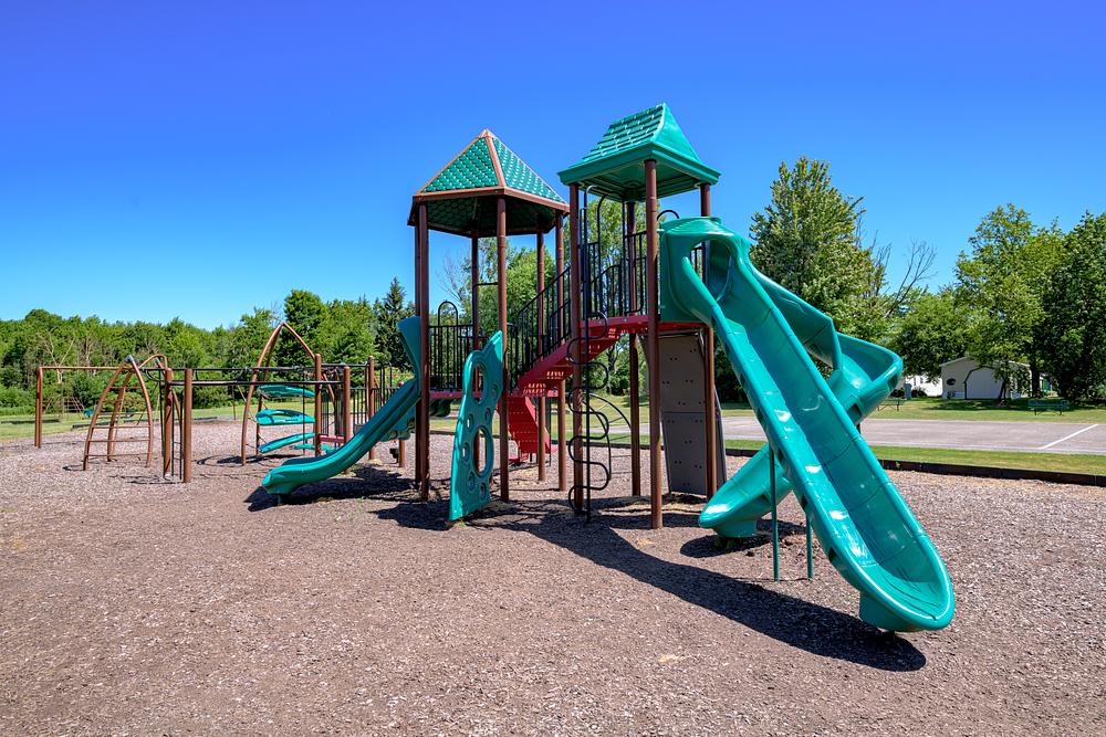 Community Image