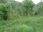 Photo of Mobile Home Lot