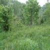 Photo of Mobile Home Lot
