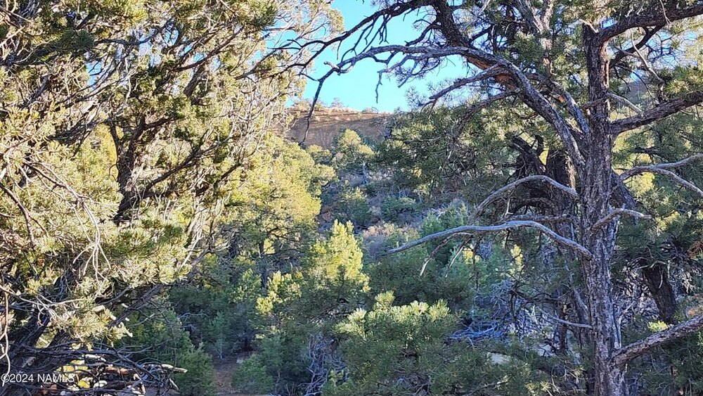 Photo of Mobile Home Lot