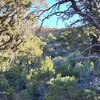 Photo of Mobile Home Lot
