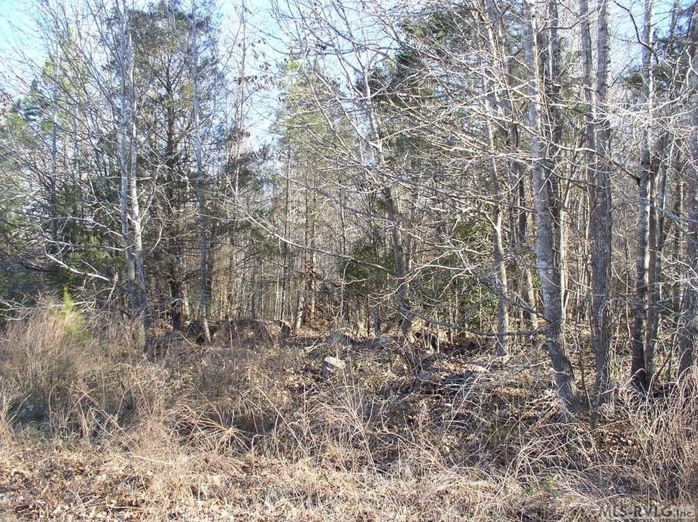 Photo of Mobile Home Lot