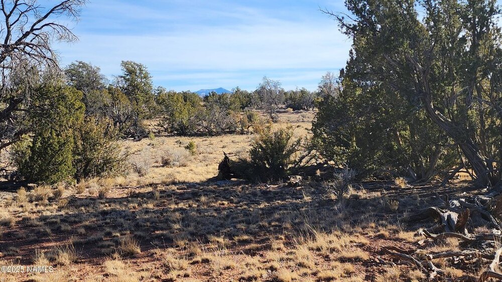 Photo of Mobile Home Lot