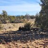 Photo of Mobile Home Lot