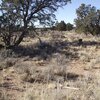 Photo of Mobile Home Lot