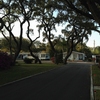 Park & Magnificent Live Oak Trees